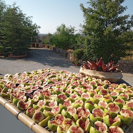 Oniro Specchia Bed & Breakfast Eksteriør bilde
