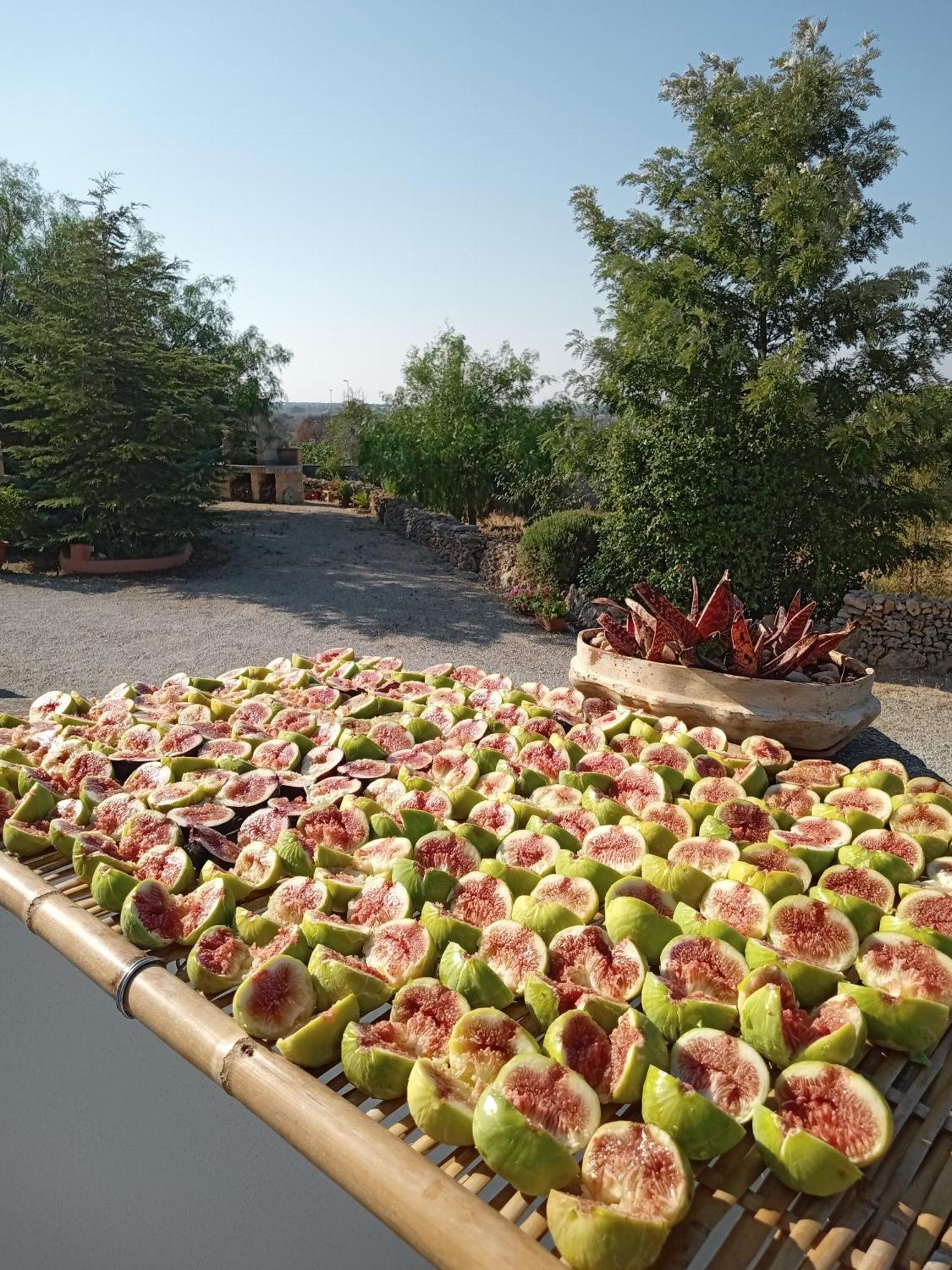 Oniro Specchia Bed & Breakfast Eksteriør bilde