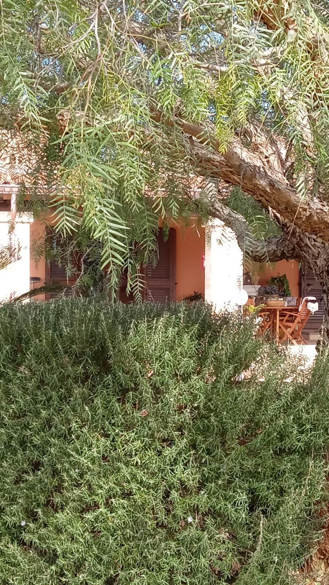 Oniro Specchia Bed & Breakfast Eksteriør bilde